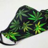 Exotic Leaves